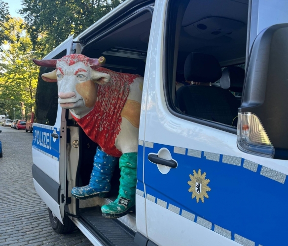 Műmarha a kisbuszban