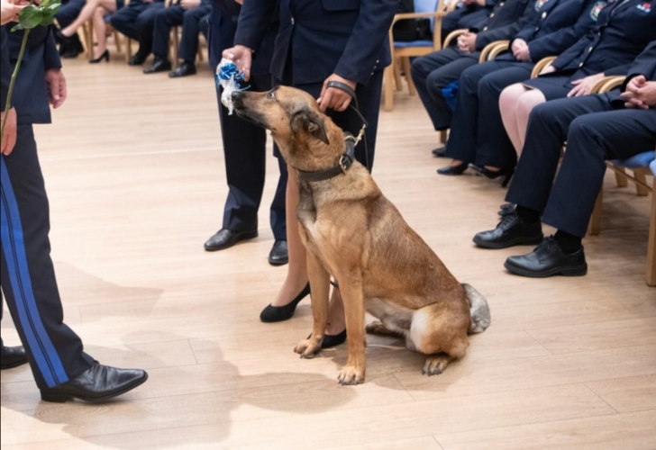 Belügyminiszteri elismerés