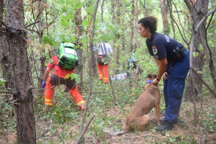 Vecsési mentőakció