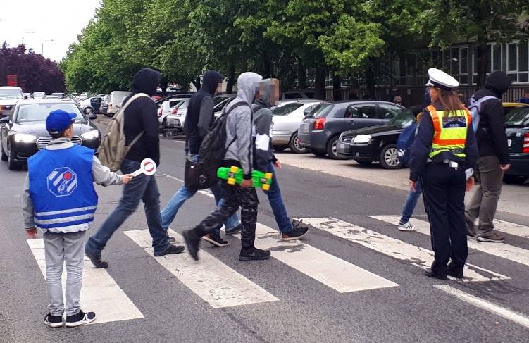 Zebra Zsaru Békéscsaba