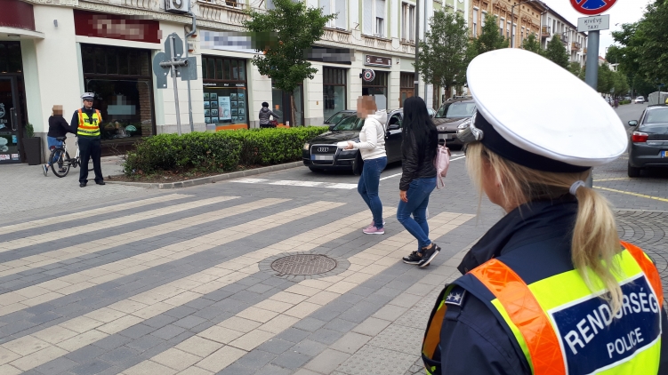 ZEBRA TERV Békéscsaba 