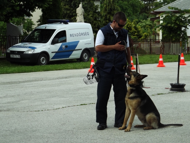 rendőrkutya